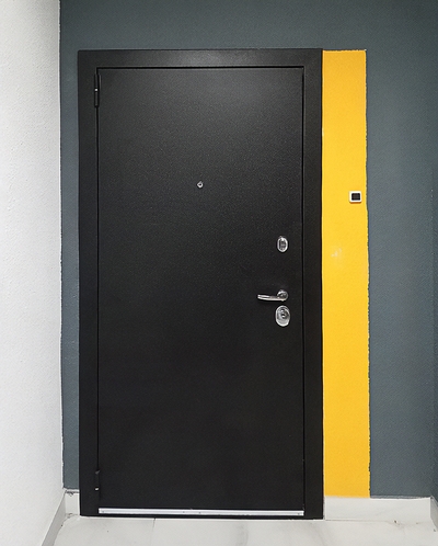 Порошковая стальная дверь