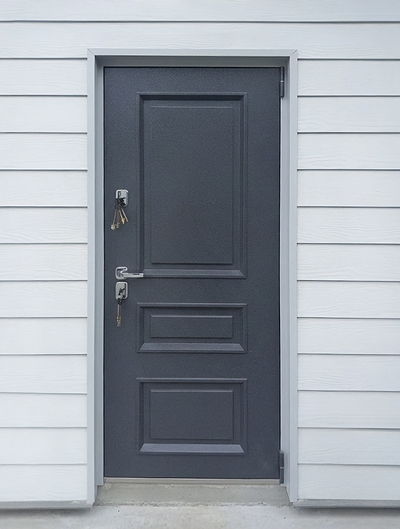 Уличная порошковая дверь