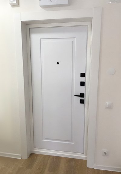 Стальная белая дверь