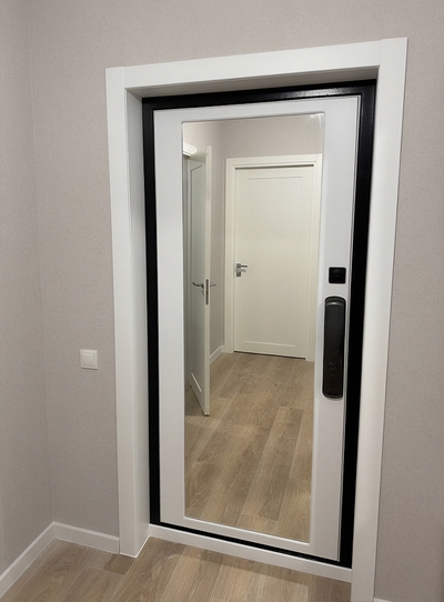 Дверь с биометрическим замком Дверь с биометрическим замком