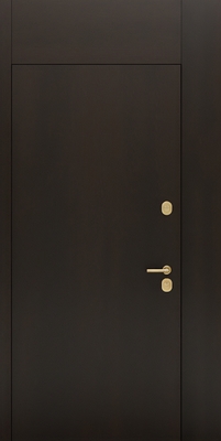 Металлическая нестандартная дверь с глухими вставками и скрытыми петлями (отделка МДФ)