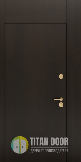 Металлическая нестандартная дверь с глухими вставками и скрытыми петлями (отделка МДФ)