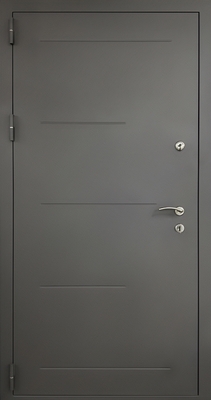 Входная дверь в квартиру с рисунком на металле и порошковым напылением муар